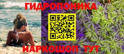 меф Жуковский